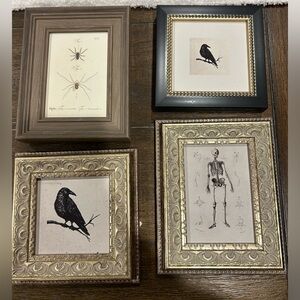 Set of Four Framed Vintage Art Prints